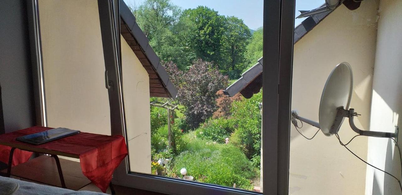 Apasjonata Διαμέρισμα Świdnica Εξωτερικό φωτογραφία